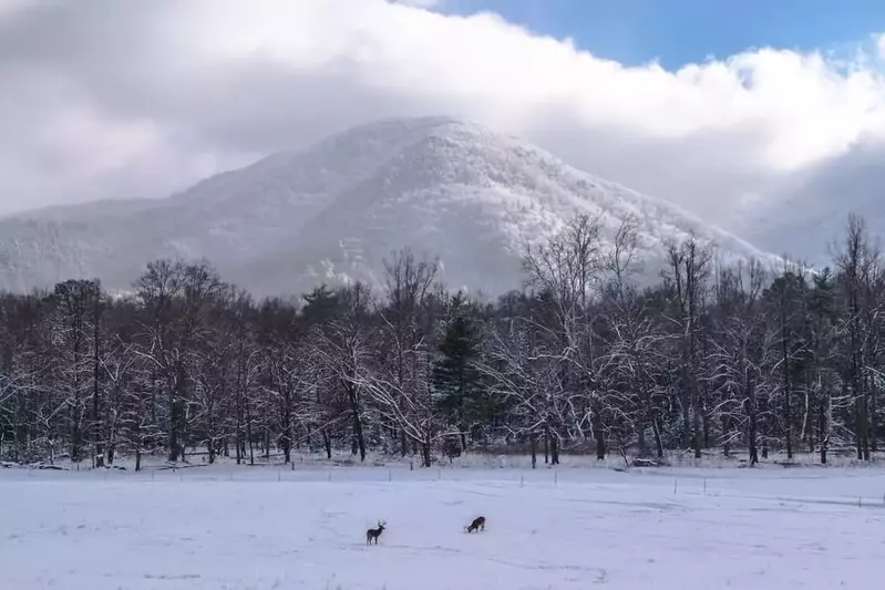 Cades Cove in the winter covered in snow