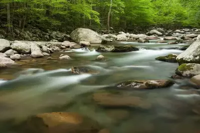 A river in the Greenbrier section of the Great Smoky Mountains.