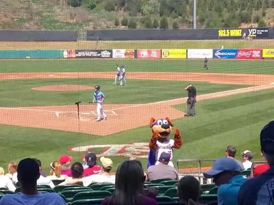 Mascot entertaining fans at a Tennessee Smokies baseball game.