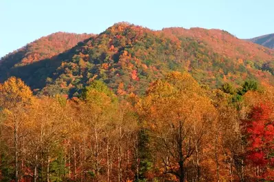 Photo of the gorgeous fall colors in Cades Cove.