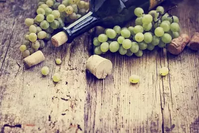 Gatlinburg winery bottle and grapes