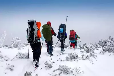 Group winter hiking in the Smoky Mountains in the snow