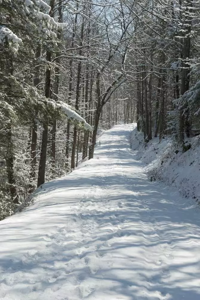 Winter hiking in the Smoky Mountains