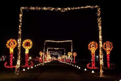 Beautiful Christmas lights display