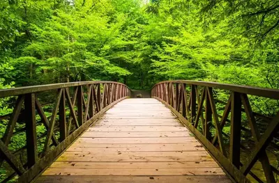 Walking bridge in the Gret Smoky Mountains National Park