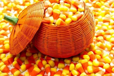 Wicker pumpkin basket overflowing with candy corn