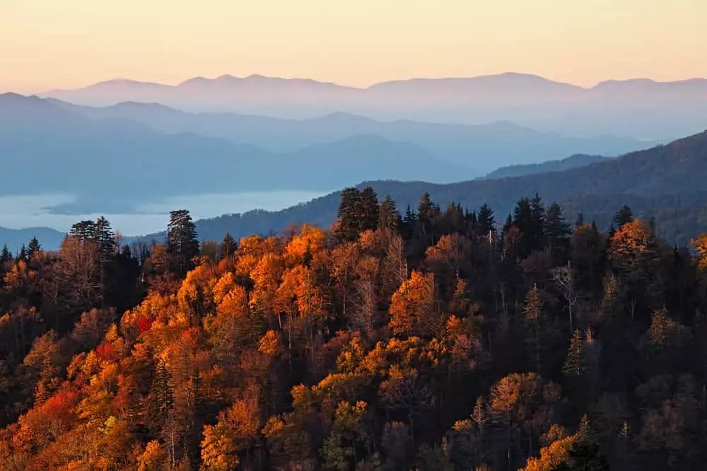 Fall sunrise in the Great Smoky Mountains National Park
