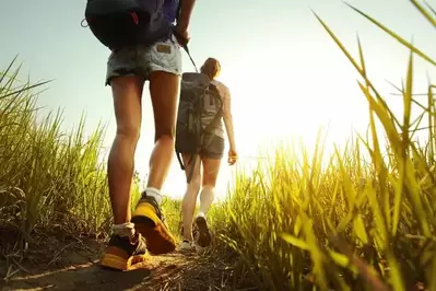 Two people hiking in the glow of the sun in tall grass