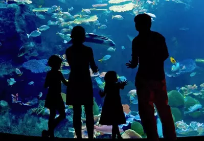 family standing in front of fish tank at aquarium