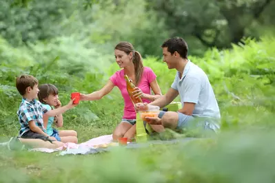 Family enjoying a picnic in the field