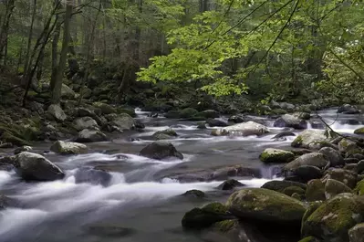 Little Pigeon River in the Great Smoky Mountains National Park
