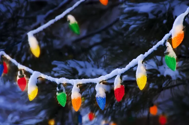 Brightly colored strand of Christmas lights on a snowy tree outside