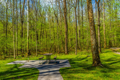 Greenbrier picnic area in spring