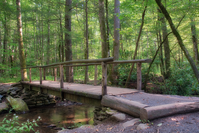 footbridge over creek on hiking trail with wildflowers nearby