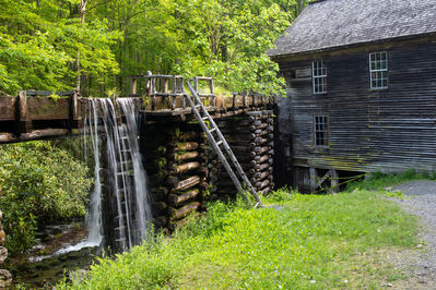 Mingus Mill