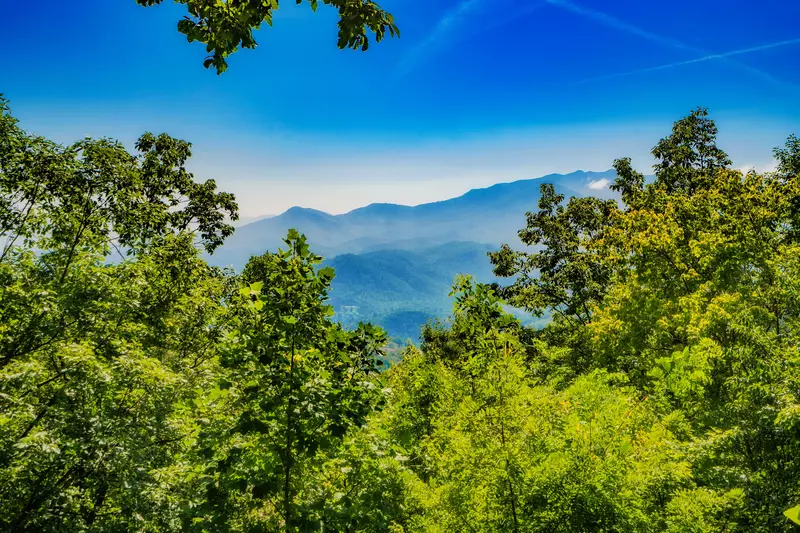 Chateau Sur Lamont 5 Bedroom Gatlinburg Cabin Rental