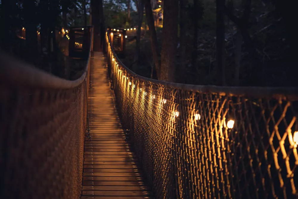 Treetop Skywalk at Anakeesta at night