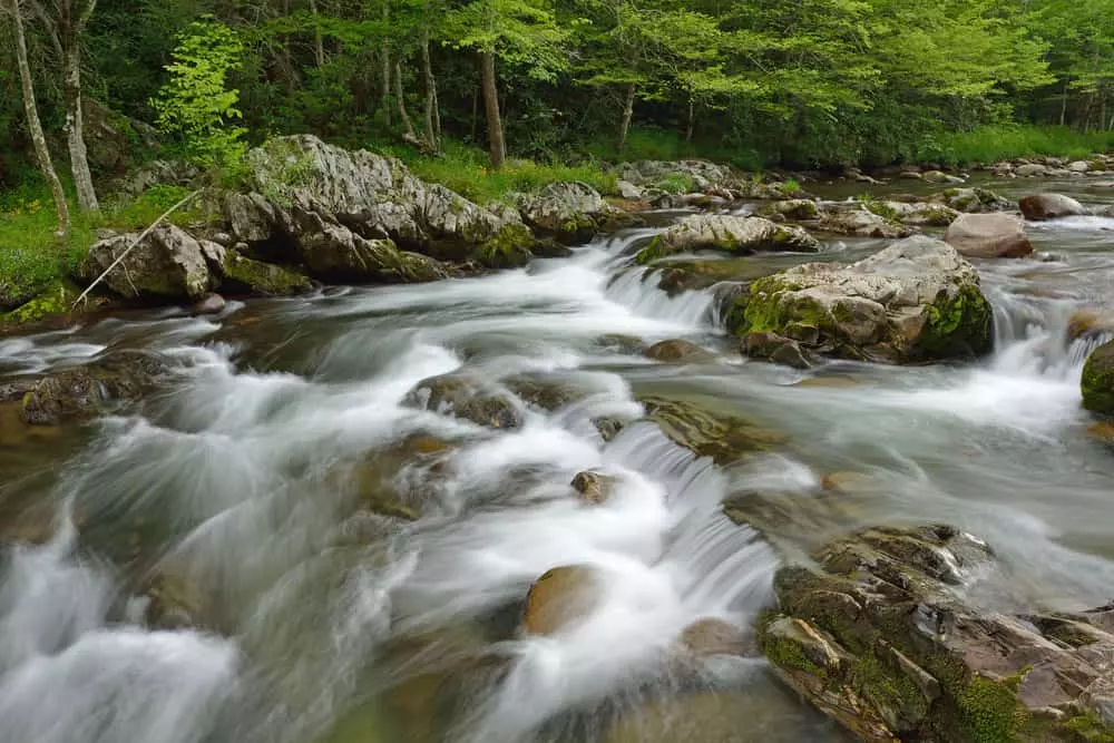 Little Pigeon River in the Smoky Mountains