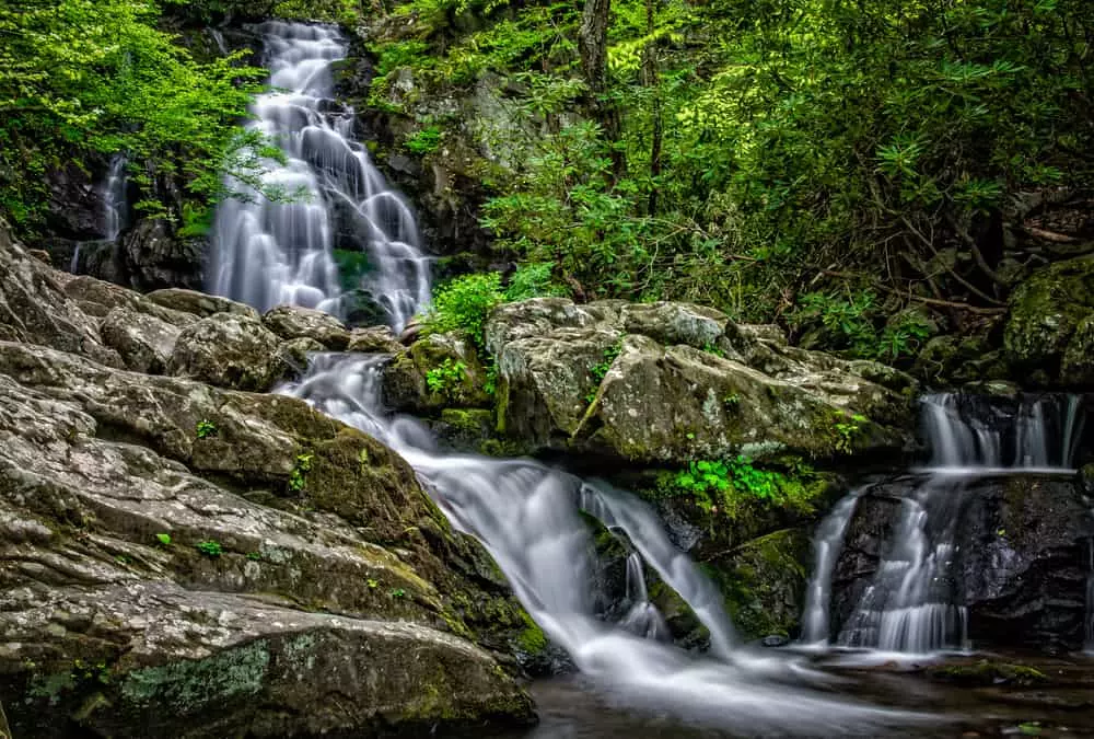 spruce flat falls