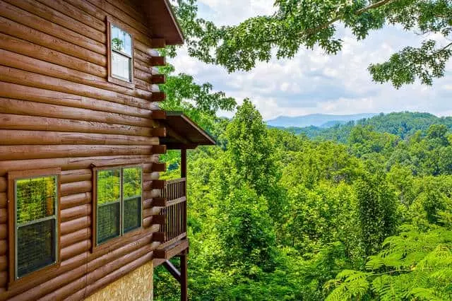 pet friendly cabin in Sevierville