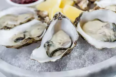 platter of fresh oysters