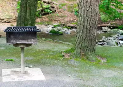 charcoal grill at a picnic area in cades cove