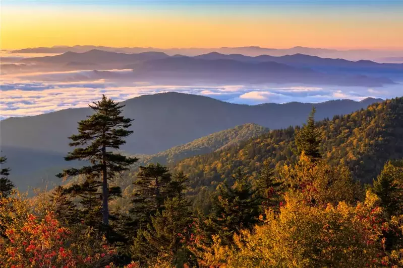 Clingmans Dome fall view