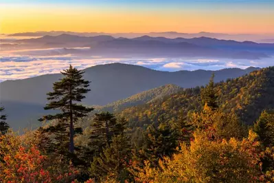 Clingmans Dome 