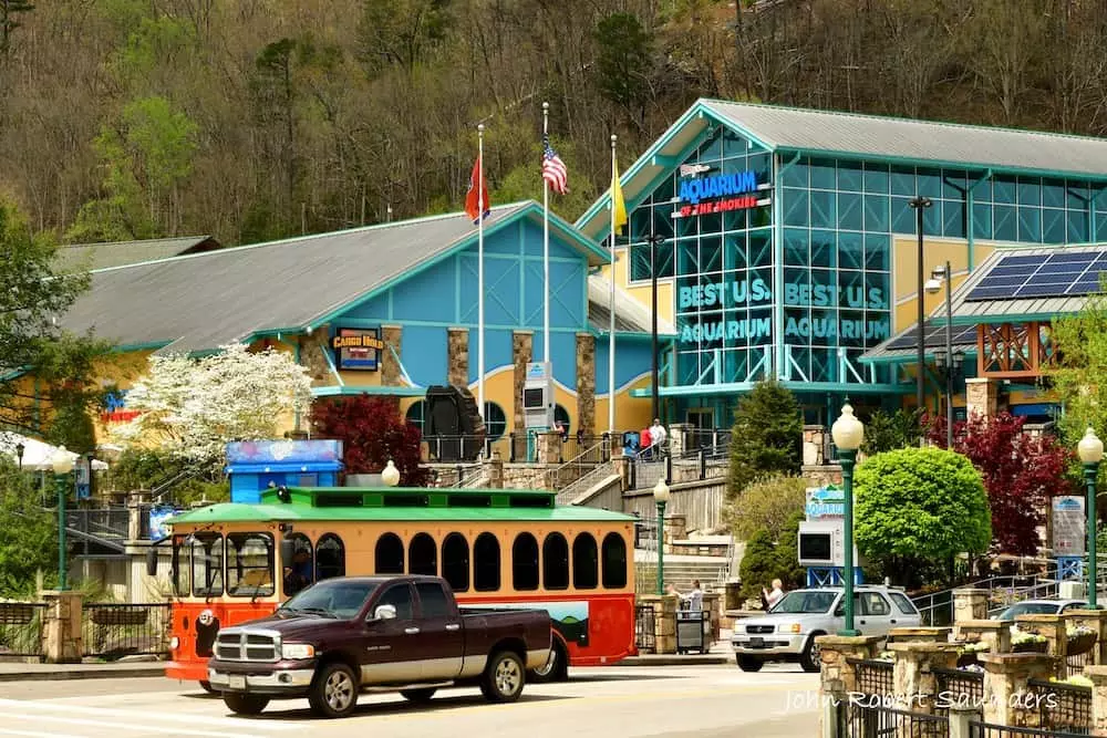 Pigeon Forge And Gatlinburg With Toddlers