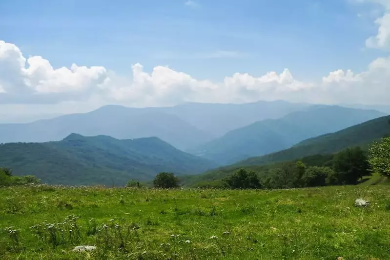 spring in the smoky mountains