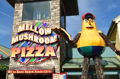 mellow mushroom the island pigeon forge