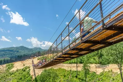 gatlinburg skybridge