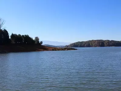 view of douglas lake tn