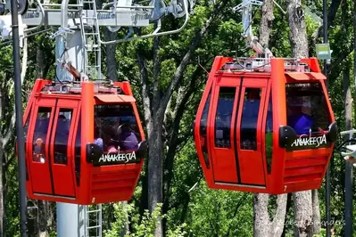 chondolas at anakeesta gatlinburg