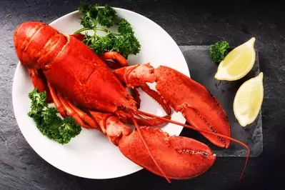 freshly steamed lobster on plate
