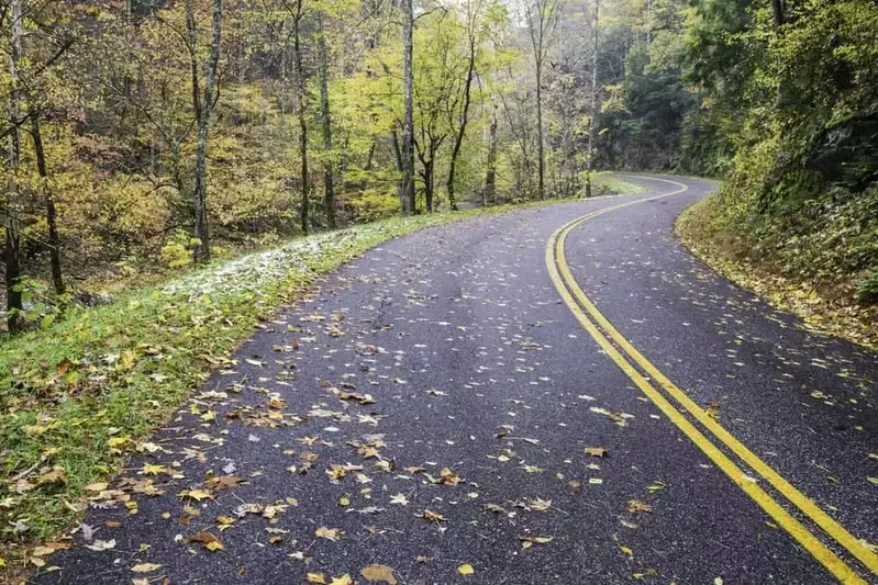 road in the smoky mountains with leaves on it