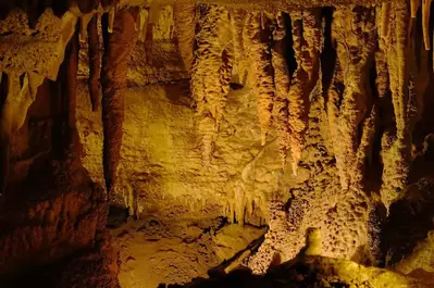 shark teeth stalactites