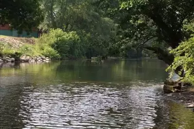 river view from rollin on the river cabin