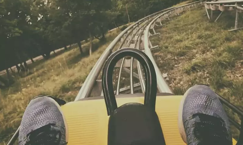 mountain coaster in the Smoky Mountains