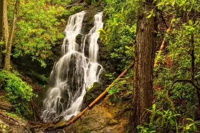 Cataract falls in smoky mountains