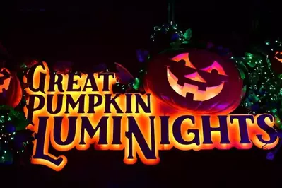 great pumpkin luminights