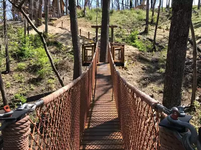 Treetop Canopy Walk