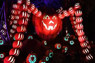A spider made out of pumpkins at Dollywood's Harvest Festival.