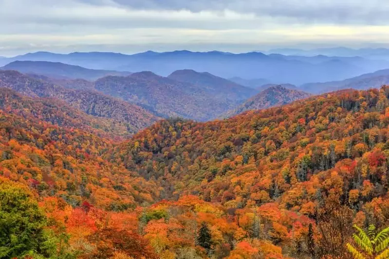 Vibrant fall foliage in the Smoky Mountains.