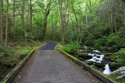 The Roaring Fork Motor Nature Trail near Gatlinburg TN.