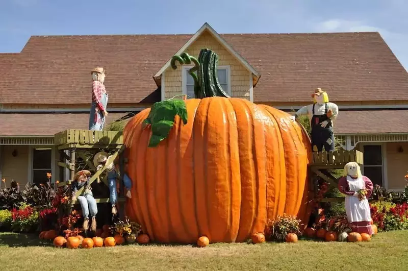 An enormous pumpkin at Dollywood during the Harvest Festival.