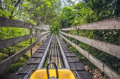 the track of an alpine coaster in the Smoky Mountains