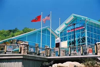 Ripley's Aquarium of the Smokies in Gatlinburg.