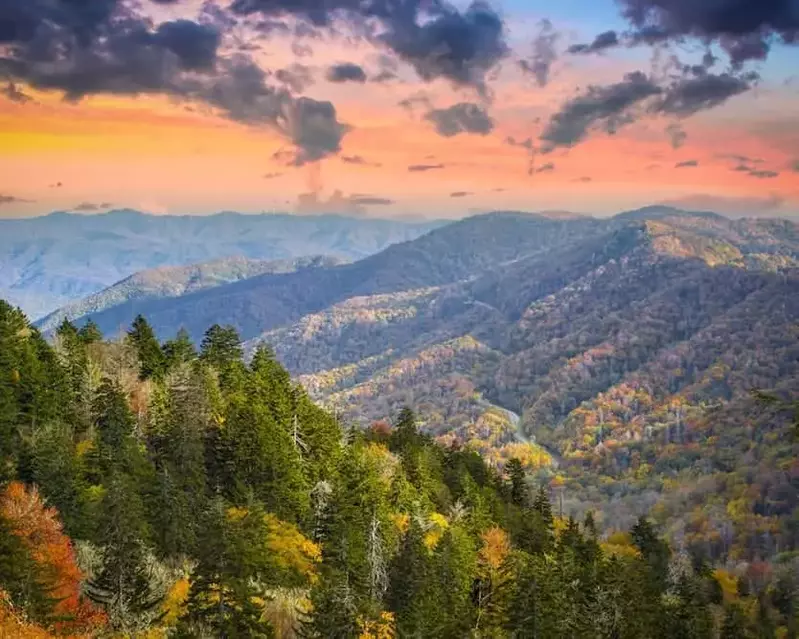 Amazing fall colors near Gatlinburg TN.