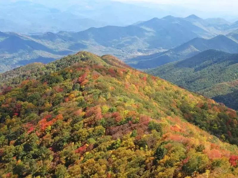 Fall colors in the mountains near Pigeon Forge and Gatlinburg.